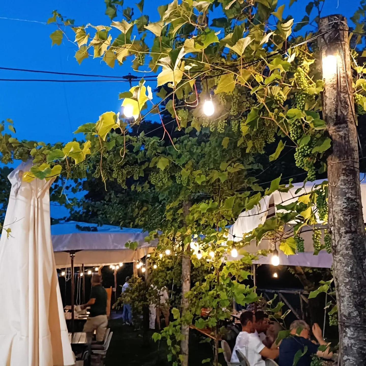 B & B Ultimo Miglio Treviso Dış mekan fotoğraf